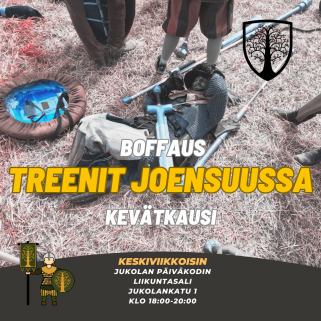 Boffaus / Pehmomiekkailu